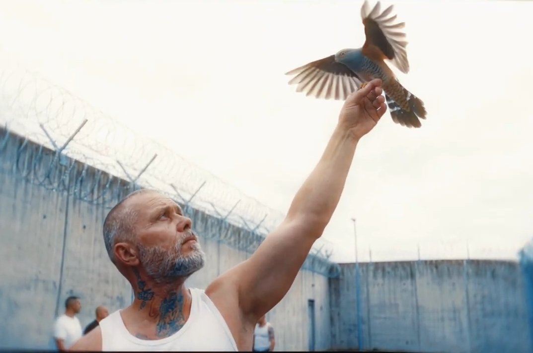 АлСми - Небо